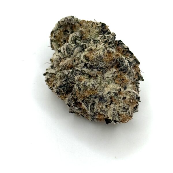 White Scottie- THC 28%