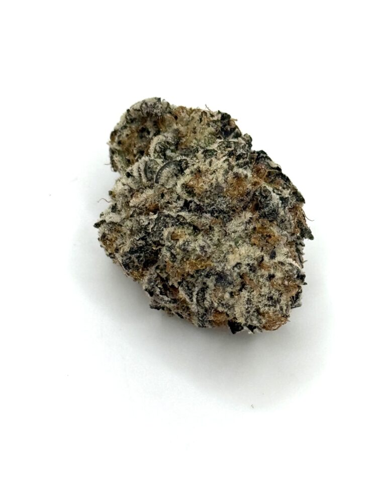 White Scottie- THC 28%