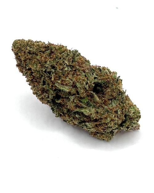 Agent Tangie- THC 25% (collectible bag)