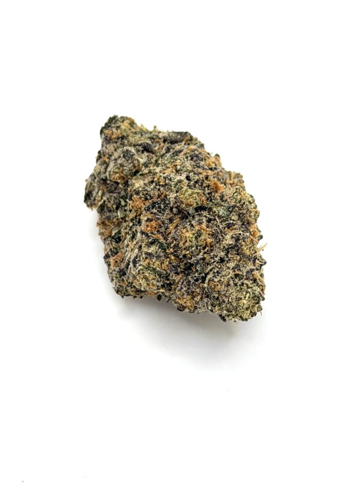 Backpack Boyz Selene- THC-29%