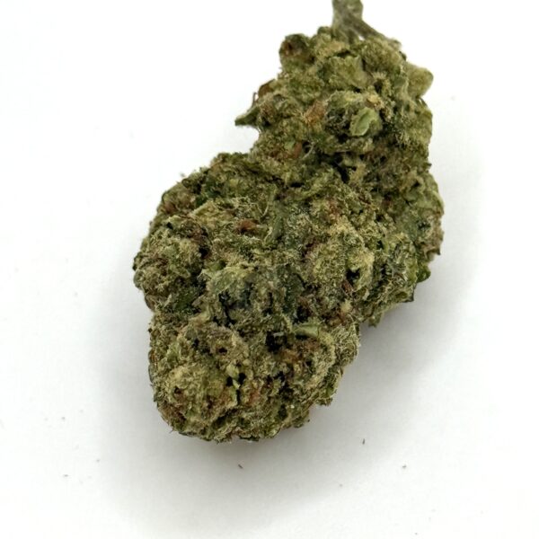 Agent Orange- THC 28%